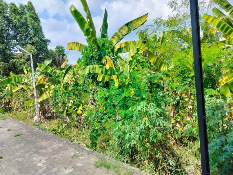 dijual tanah sewon bantul yogyakarta