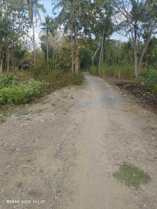 dijual tanah strategis di krembangan panjatan