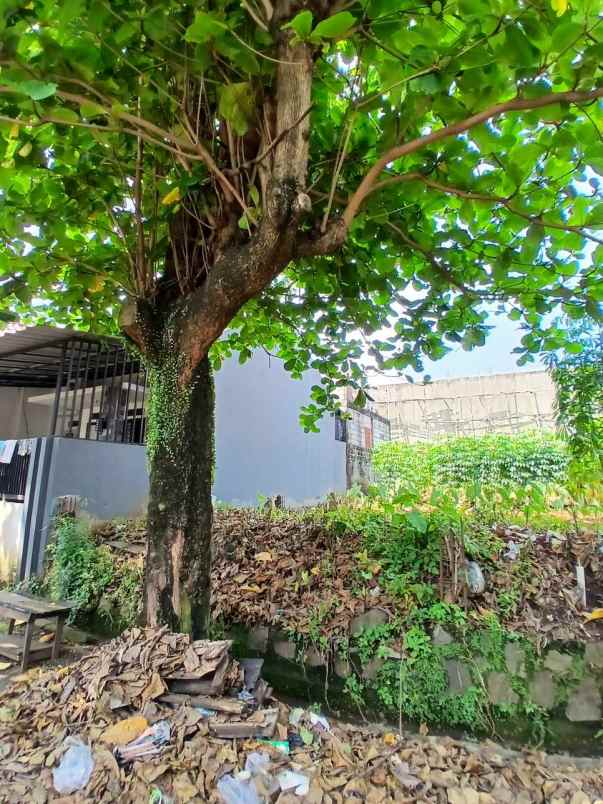 dijual tanah tanah baru