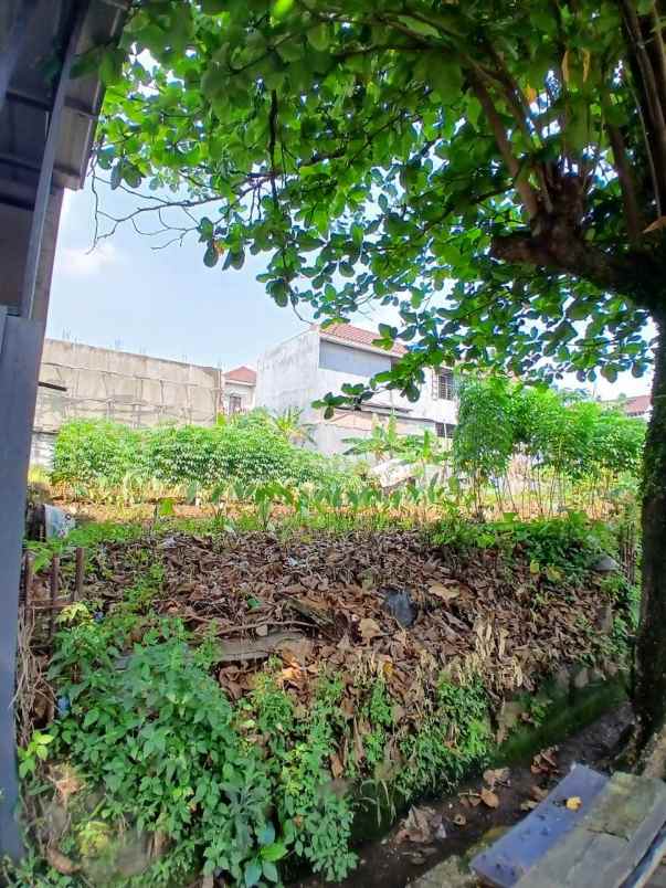 dijual tanah tanah baru