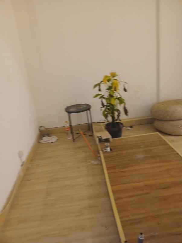 disewakan ruko gudang kantor jalan tebet raya