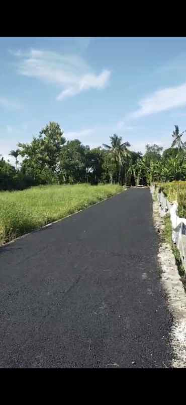 disewakan tanah kedungu tabanan bali