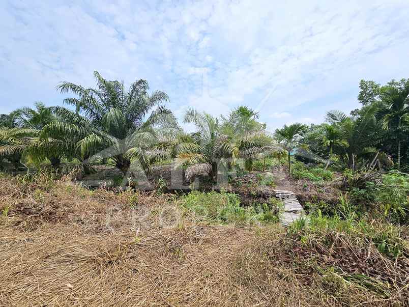 jual cepat harga sangat murah tanah cck investasi