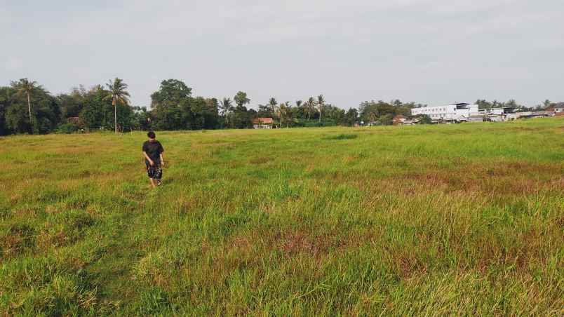 jual tanah sebelah perumahan d green benda balaraja