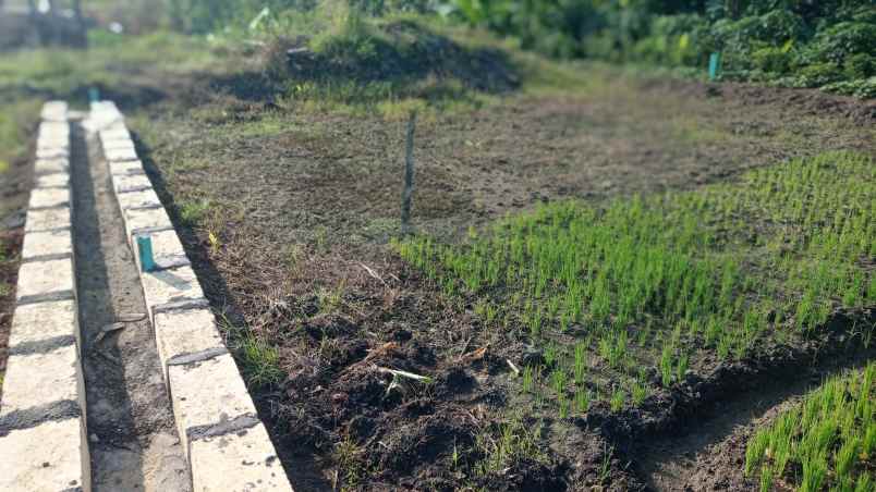 kavling murah dan rumah inhouse