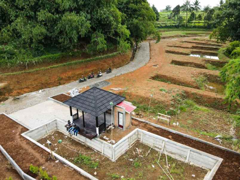 kavling villa bonus kolam ikan bibit ikan lele