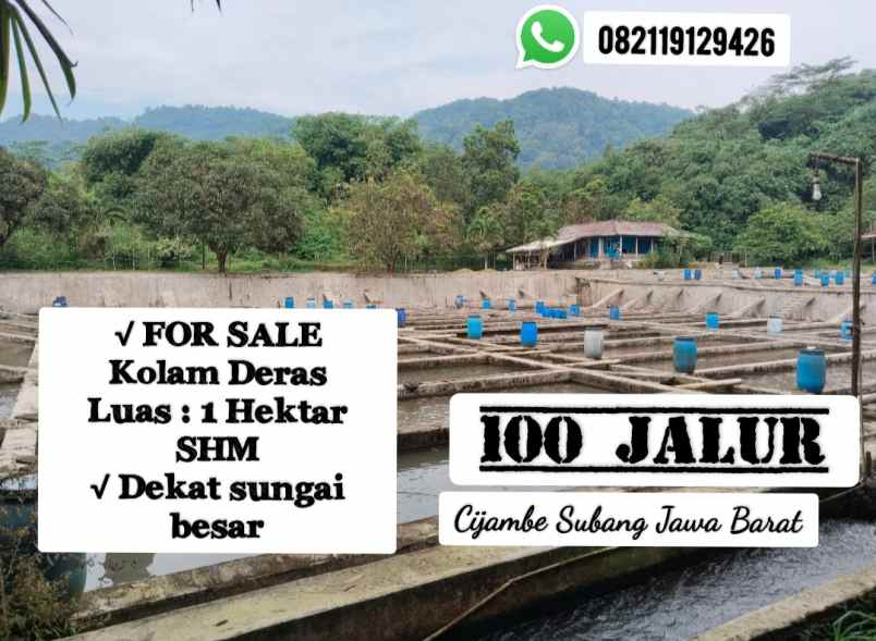 kolam deras 100 jalur subang jawa barat