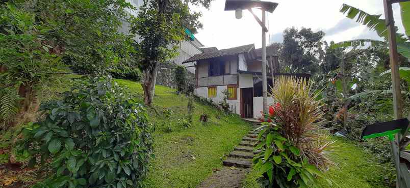 rumah cigadung timur