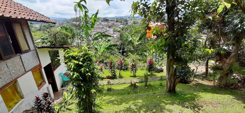rumah cigadung timur