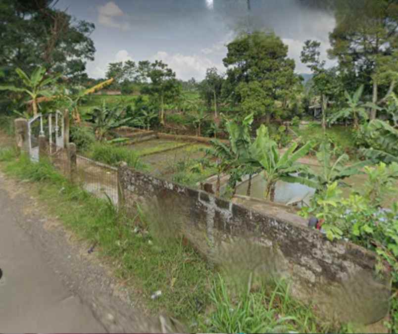 rumah farm penginapan 1 2 hektar