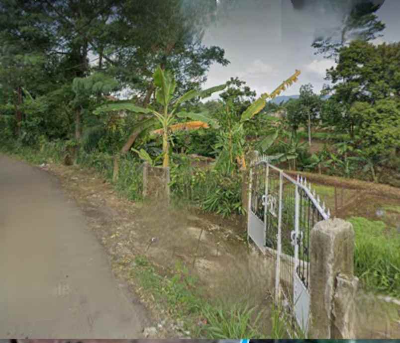 rumah farm penginapan 1 2 hektar