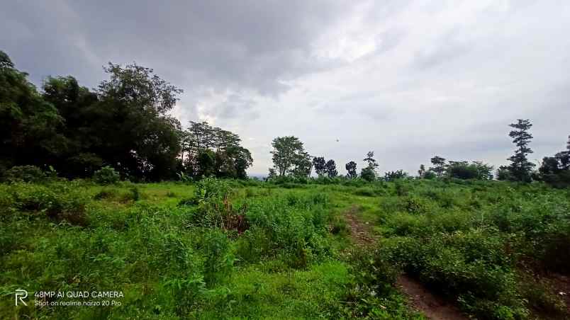 rumah jl mojolengka sukerejo pandaan