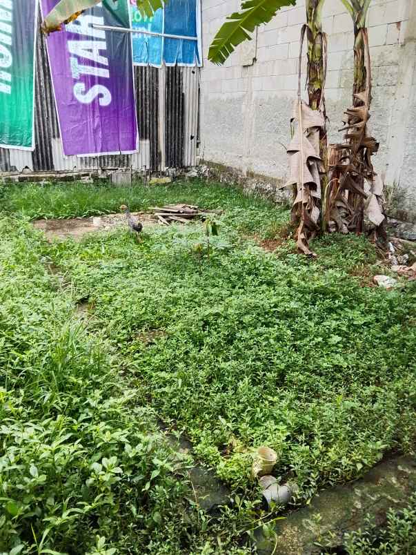 rumah kontrakan minimalis dijual di limo depok