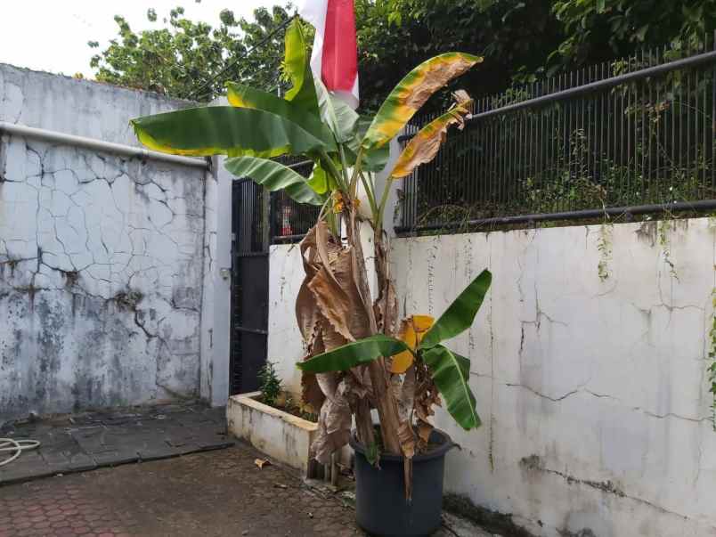 rumah perumahan kebon jeruk