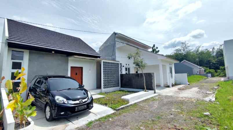 rumah rejosari sardonoharjo