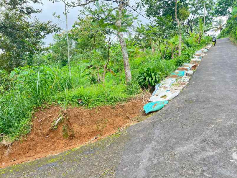 tanah 2000m cocok untuk kebun buah ngargoyoso