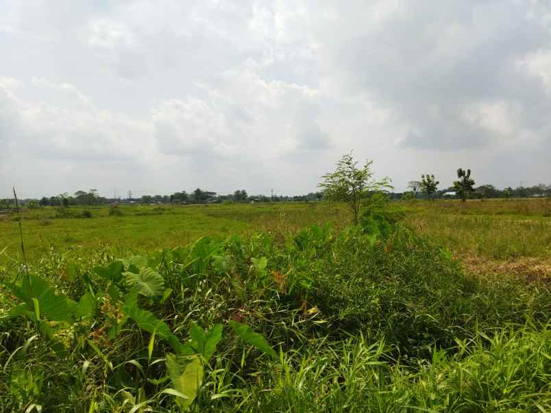 tanah area wisata janti klaten