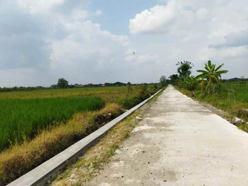 tanah area wisata janti klaten