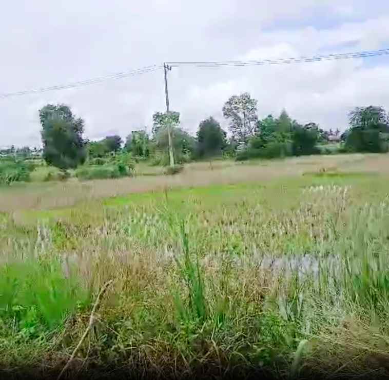 tanah dijual di banjar kalimantan selatan