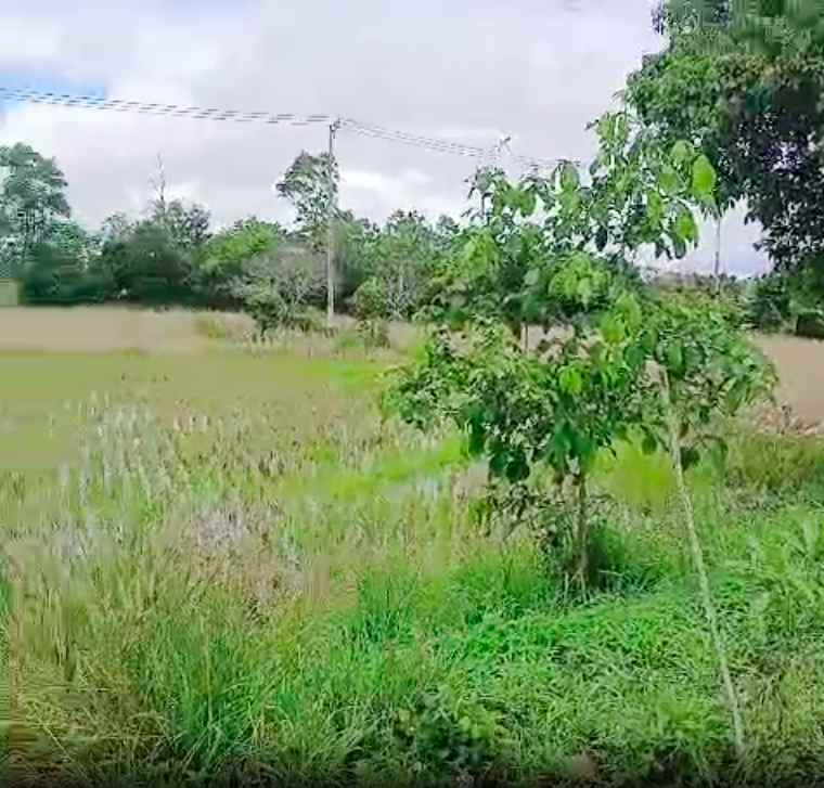 tanah dijual di banjar kalimantan selatan