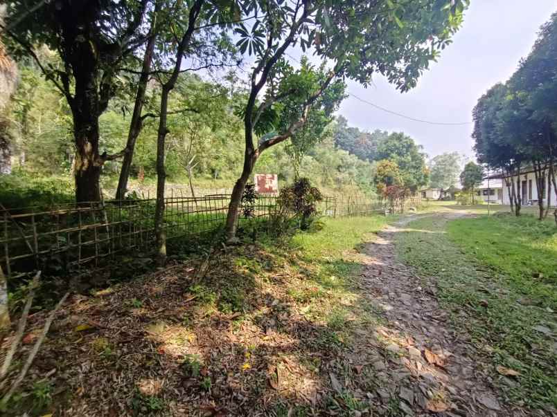 tanah gunung pancar babakan madang