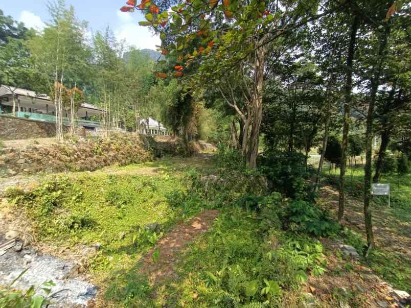 tanah gunung pancar babakan madang