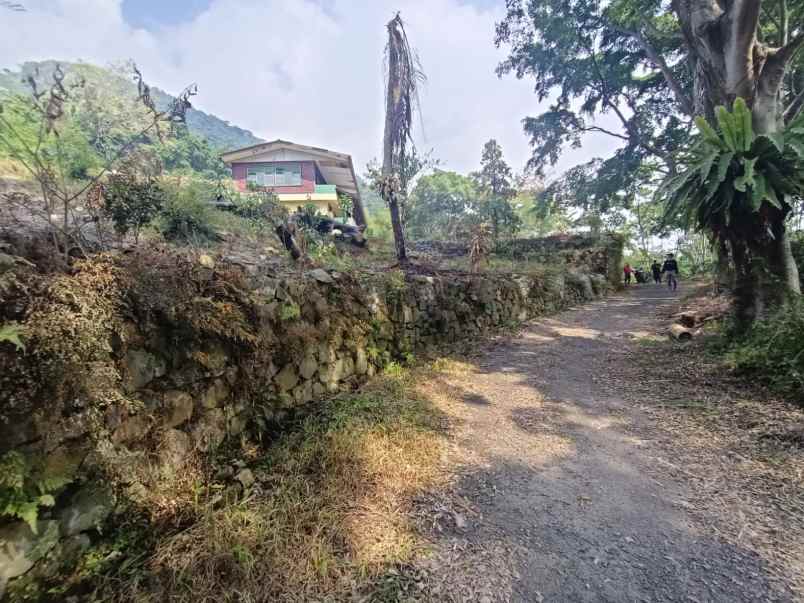 tanah gunung pancar babakan madang