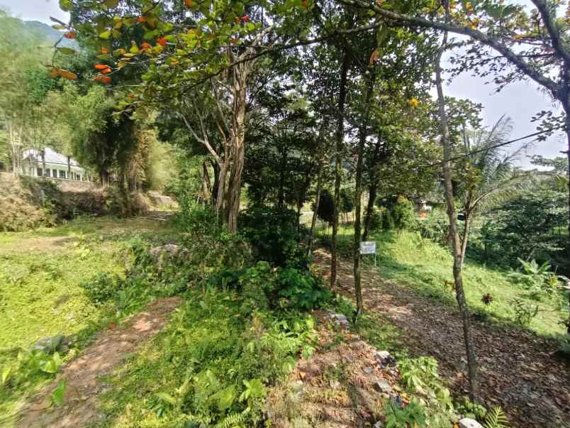 tanah gunung pancar babakan madang