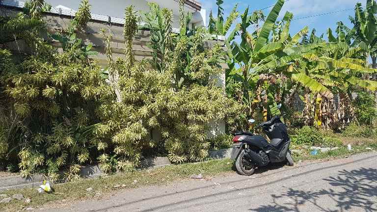 tanah jalan tukad badung