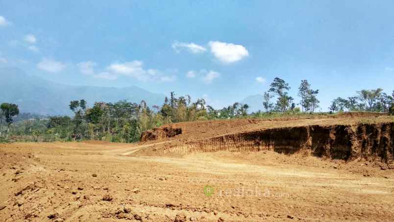 tanah jl locari precet