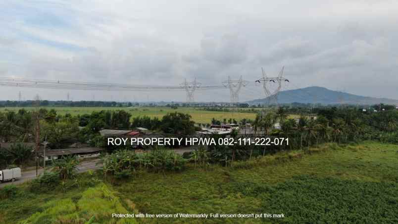 tanah jl raya bojonegara i