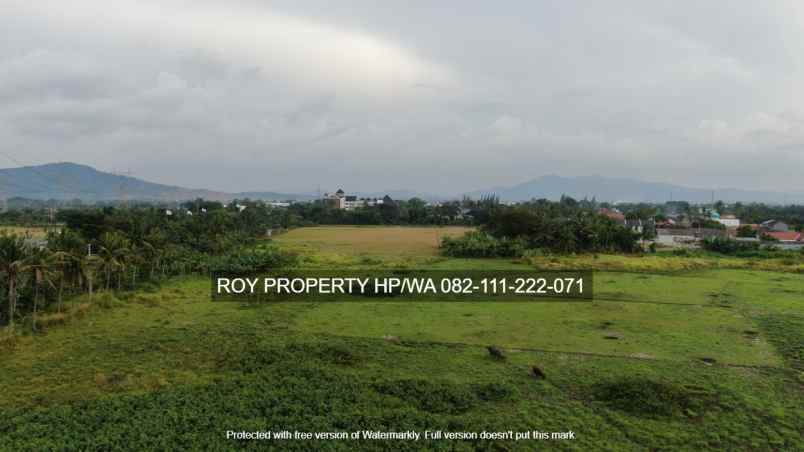 tanah jl raya bojonegara i