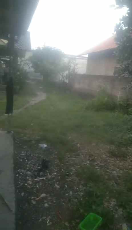 tanah kebun di tengah pemukiman