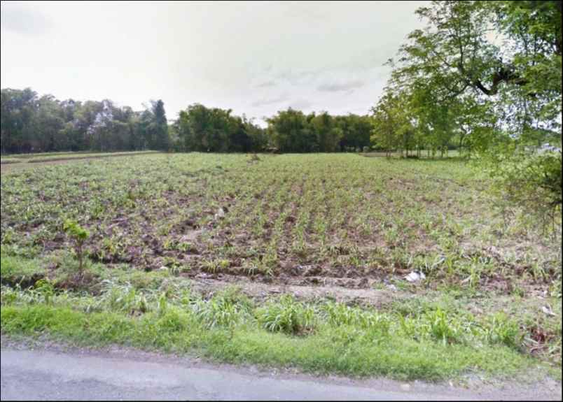 tanah kemlagi mojokerto