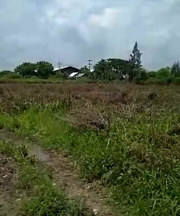 tanah lokasi teluk golf citraland surabaya barat