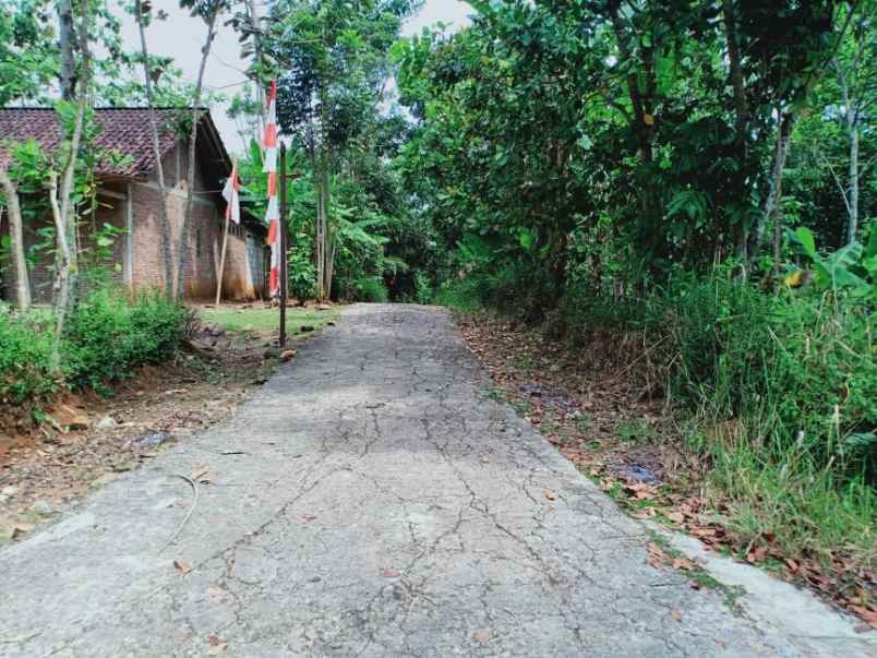 tanah mojogedang karanganyar