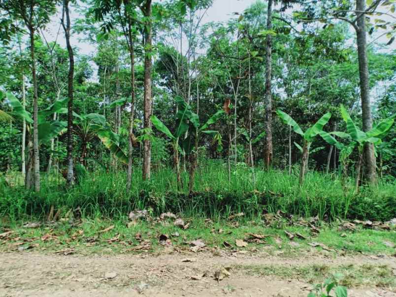 tanah mojogedang karanganyar