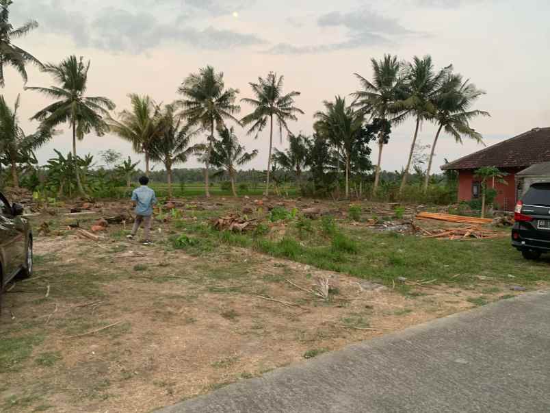 tanah murah kulonprogo di tawangsari cocok hunian