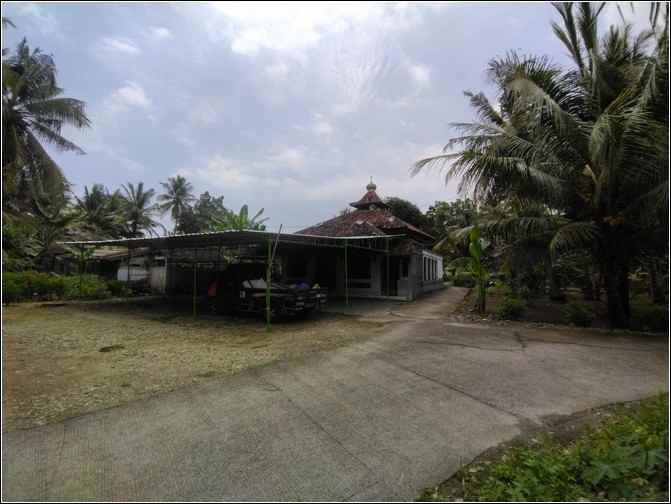 tanah murah kulonprogo di tawangsari cocok hunian