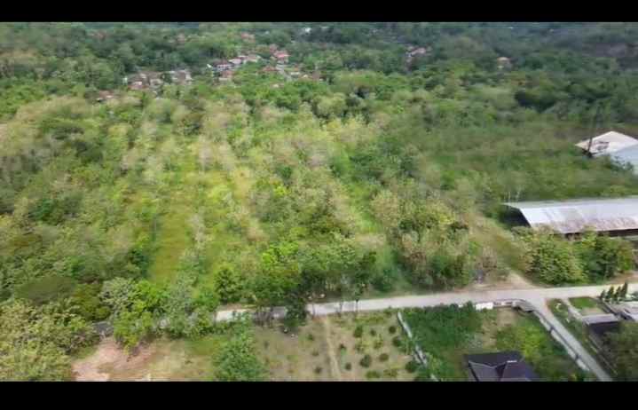 tanah murah tegal banyak pohon jati