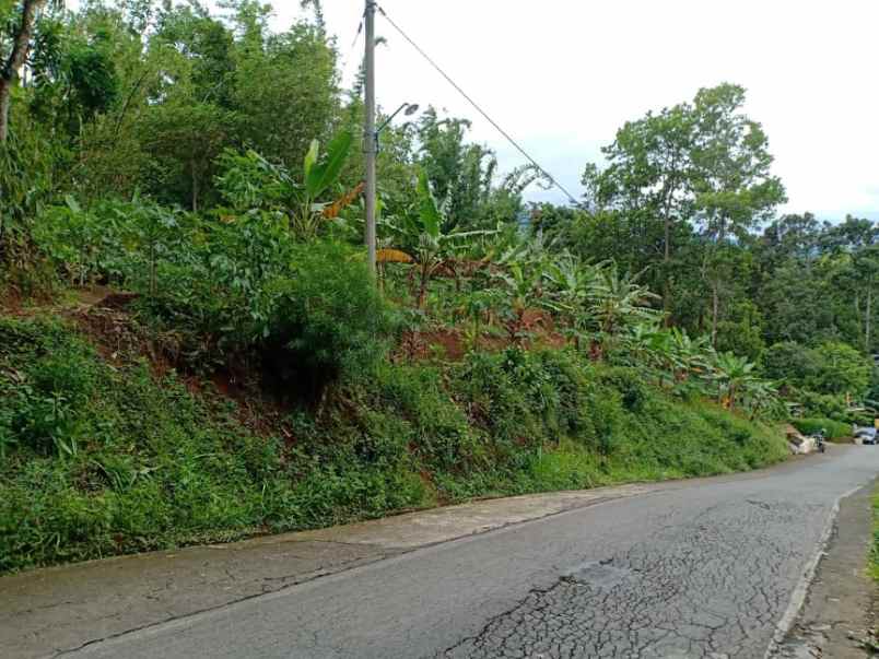 tanah tepi jl raya kerjo