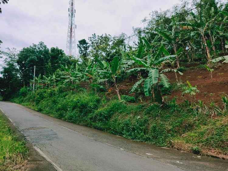 tanah tepi jl raya kerjo