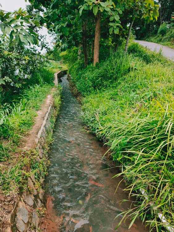 tanah tepi jl raya kerjo