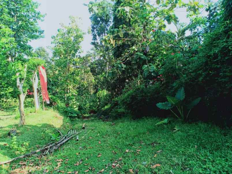 tanah utara kantor kecamatan