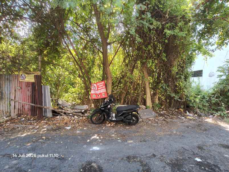 tanah view jungle di tegallalang dekat anantara ubud
