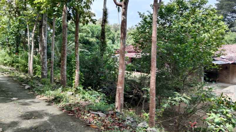 dekat spbu dan tugu pensil sentolo kulonprogo