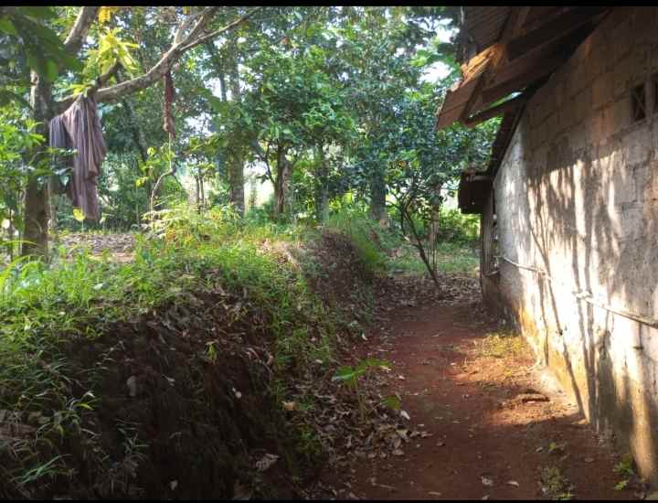 dijual murah tanah di kalisuren tajur halang bogor