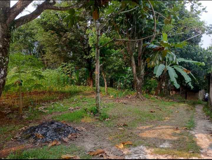 dijual murah tanah di kalisuren tajur halang bogor