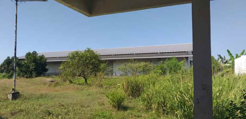 dijual ruko gudang kantor kec mojoagung kab jombang