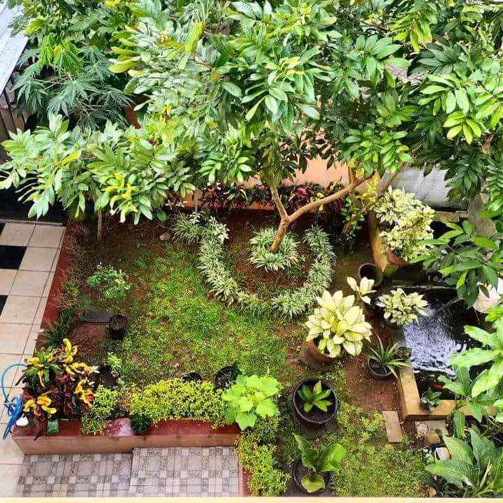 dijual rumah bulusan